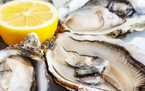 海鲜生蚝牡蛎图片