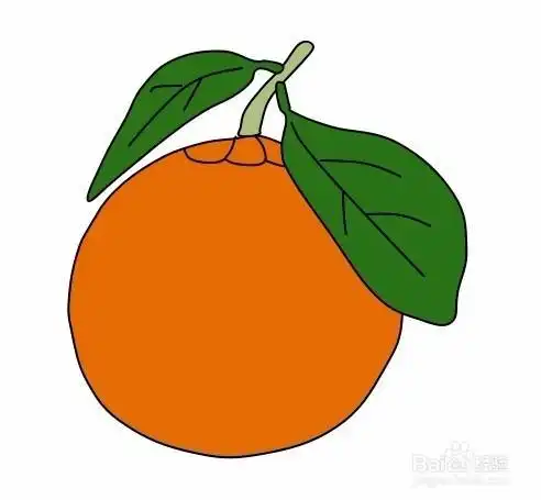 画简单的南瓜简笔画步骤南瓜简笔画作品彩色图片蔬菜简笔画巧夺天工