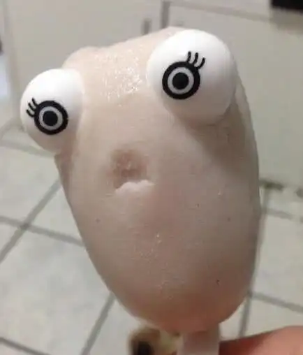 买了一根冰棍,太萌舍不得吃了大哥这就是你养的鸟吗?