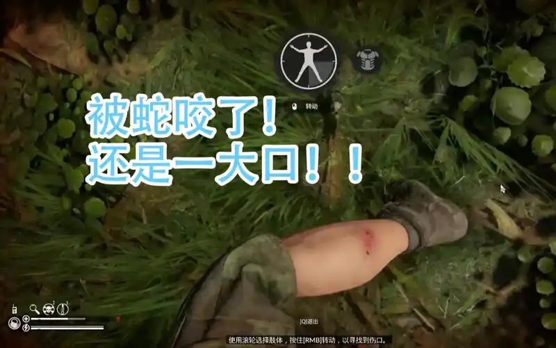 绿色地狱:p6小小响尾蛇竟如此放肆