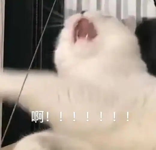 求小动物咆哮的表情包