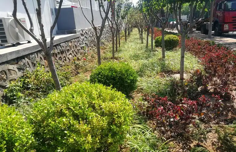 东芝公司厂区外绿化提升改造进行中