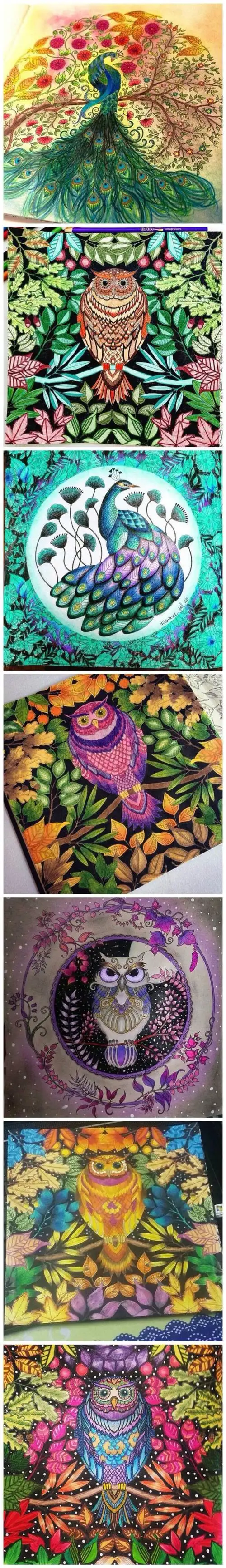 秘密花园 大神级涂色欣赏 - 堆糖,美图壁纸兴趣社区