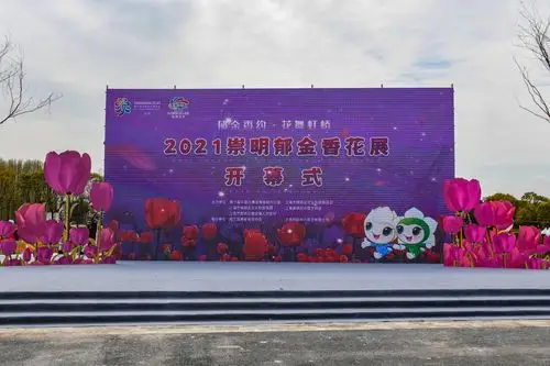 视频2021崇明郁金香花展开幕三款郁金香新品种获现场命名