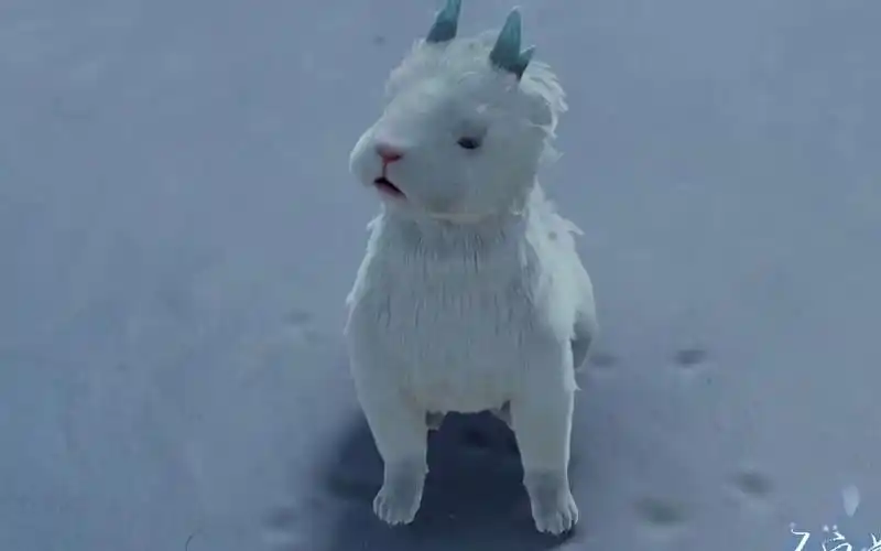 似猫似狗可爱小白泽