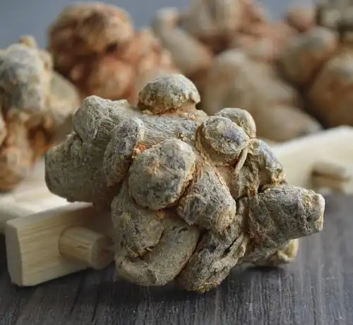 女人如花要靠养