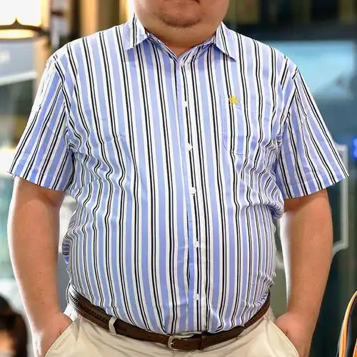 为熊设计纯棉肥大码胖熊爪刺绣彩色方格条纹衬衫