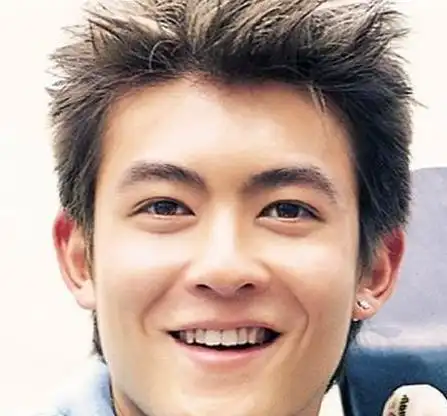 姿色鉴定:陈冠希|脸型|卧蚕|眉峰_网易订阅