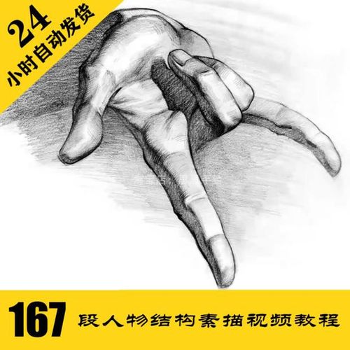 s052 人像人体结构素描视频167段教程 大部分中文字幕 持续更新
