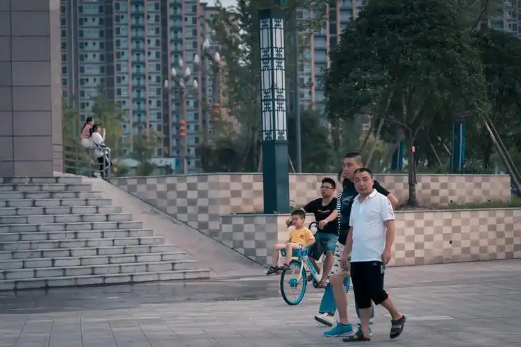 饭后散步 - 小米白 - 图虫