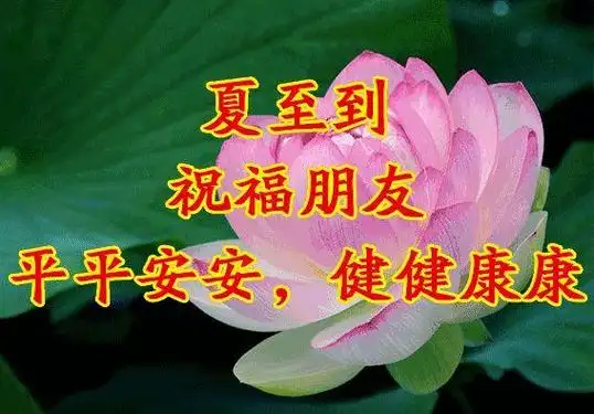 祝大家夏至快乐!