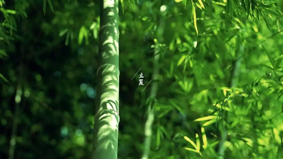今日立夏夏天你好二十四节气