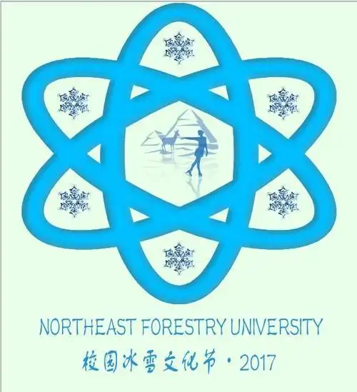 冰雪节logo投票央视logo都设计的了还差冰雪节吗