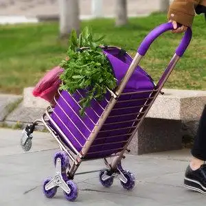 老年人购物车爬楼折叠买菜图片