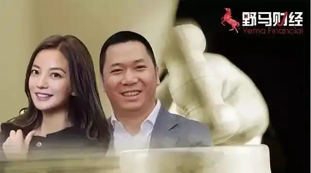 赵薇老公黄有龙欠3亿港元被起诉 神秘担保人牵出众多资本大佬_品推资