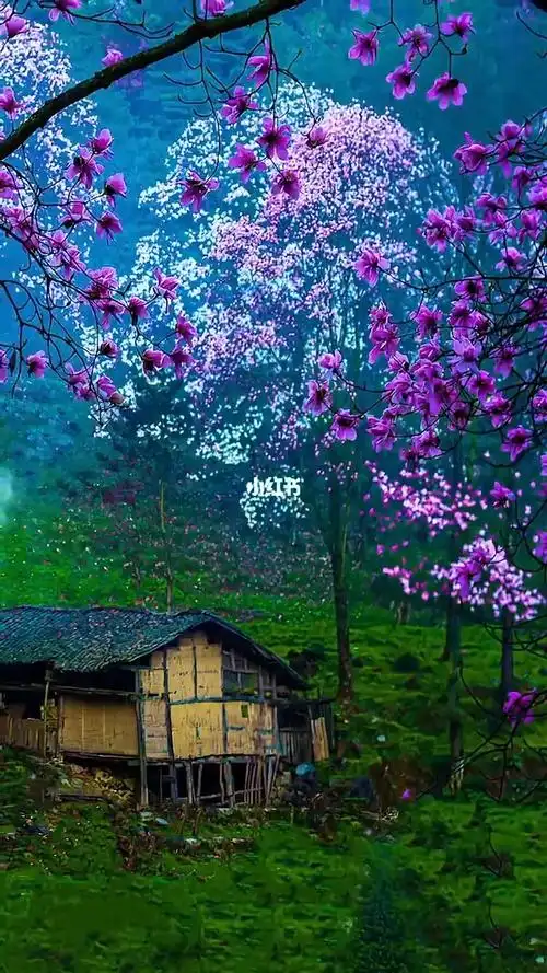 人间仙境世外桃源