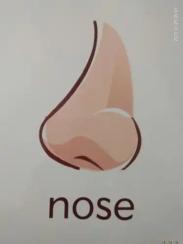 能用不同的方式朗读和表演诗歌 英语《touch your nose》 活动目标