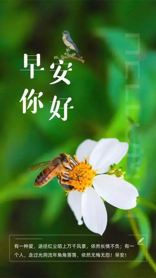 原创冬天最美丽早安问候语图片带字温馨2021暖心早上好图片表情祝福