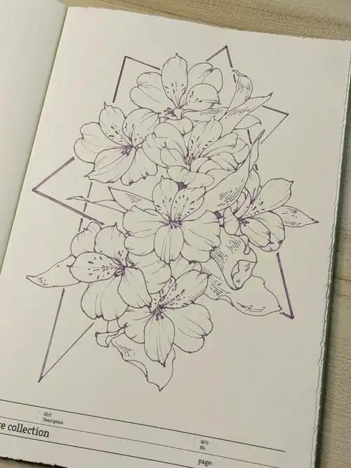 九口山野风集画笔:永生3144f尖,巨匠g尖#钢笔  #线描  #线描花卉 #彩