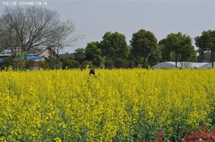 良渚野芦湾自驾游圆满落幕!
