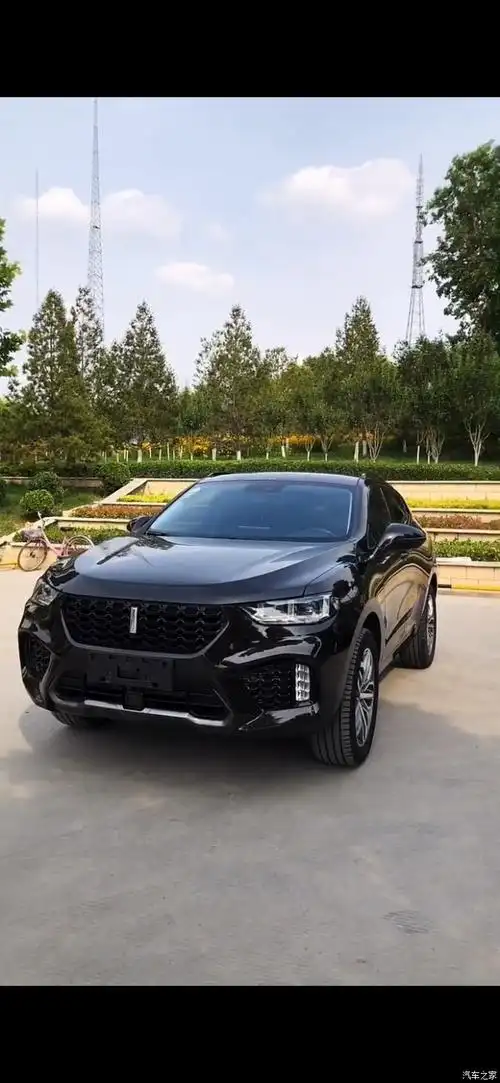 国产新野王 魏派vv6黑武神