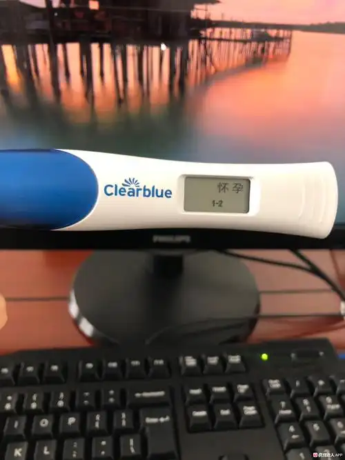 海氏海诺早孕有一条细细的线