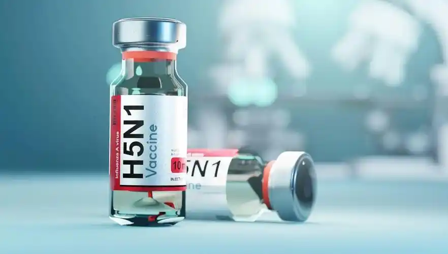 他们已与制药巨头葛兰素史克公司会面,讨论该公司生产禽流感疫苗的