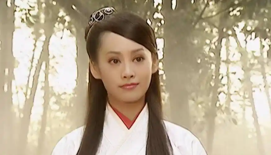22年前《杨门女将》的顶级配置,认出小龙女郭襄,认出折颜没?
