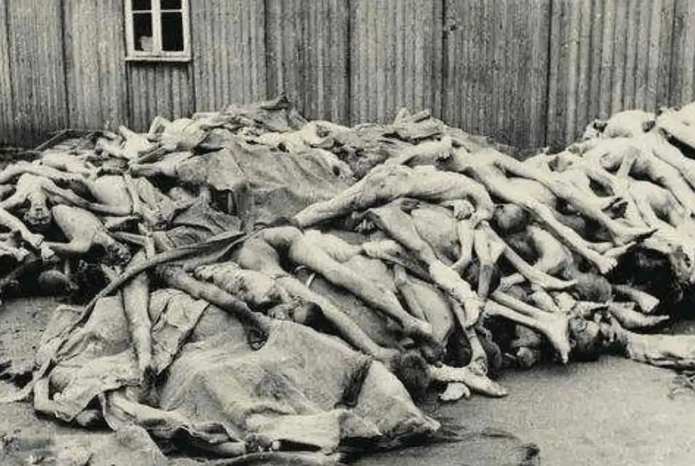 日本不认731部队恶行,日本老兵:他们更想把自己当做战争受害者