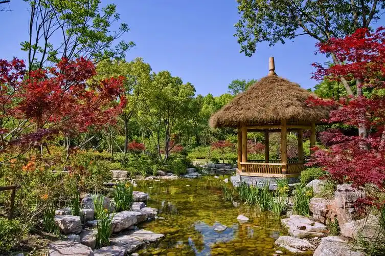 都市园林(5)--上海滨江森林公园