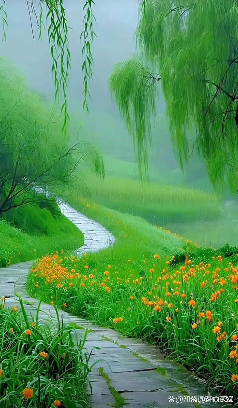 薄雾轻绕,垂柳依依,仿佛诉说着大自然的诗篇.