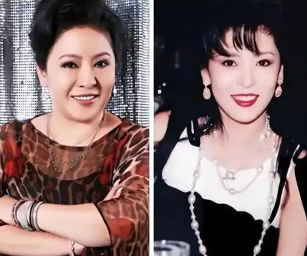 向太陈岚如今肥肥胖胖的,年轻时却是大美女,跟关之琳合照都不输