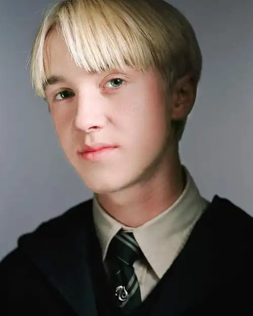 跪求汤姆费尔顿所饰的德拉科马尔福的高清帅照