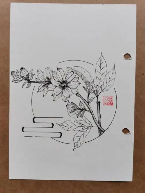 每日一画脱稿速写迎春花