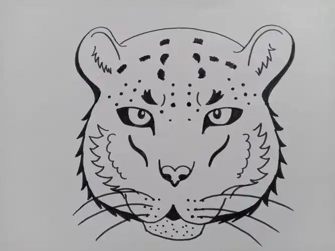 艺术创想班——《雪豹》
