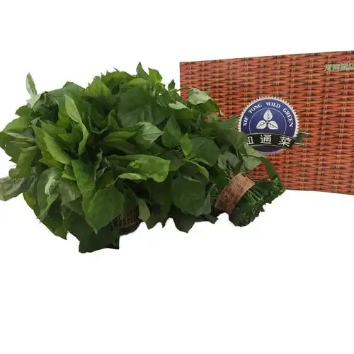 > 供应血通菜 产品分类:蔬菜 > 基地 > 野生蔬菜 产品产地:海南