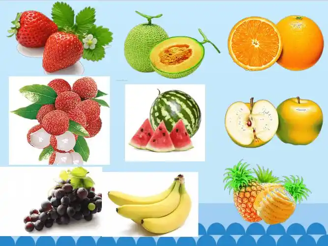 粤教粤科版2017秋一年级科学上册26美味的水果课件23ppt