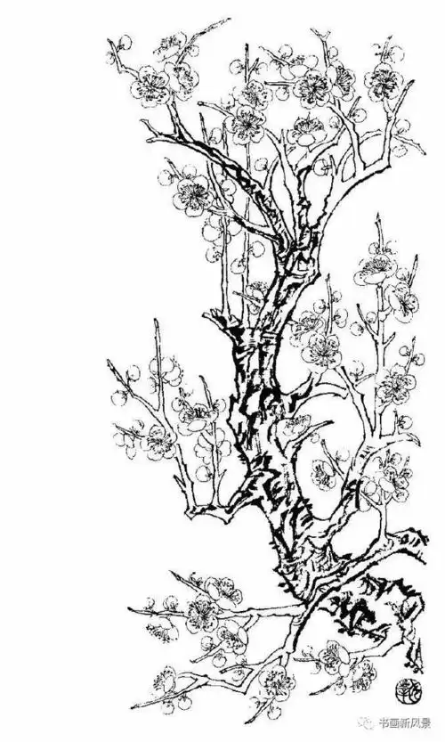 又一组梅花白描画谱! 老树虬枝,苍劲高洁!