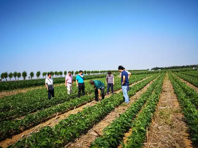 中国农业大学土地科学与技术学院 学院新闻 土地科学与技术学院党委