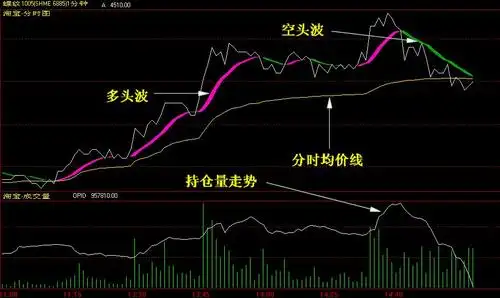 期货软件指标/文华财经精品特色公式/★分时图★wd346079