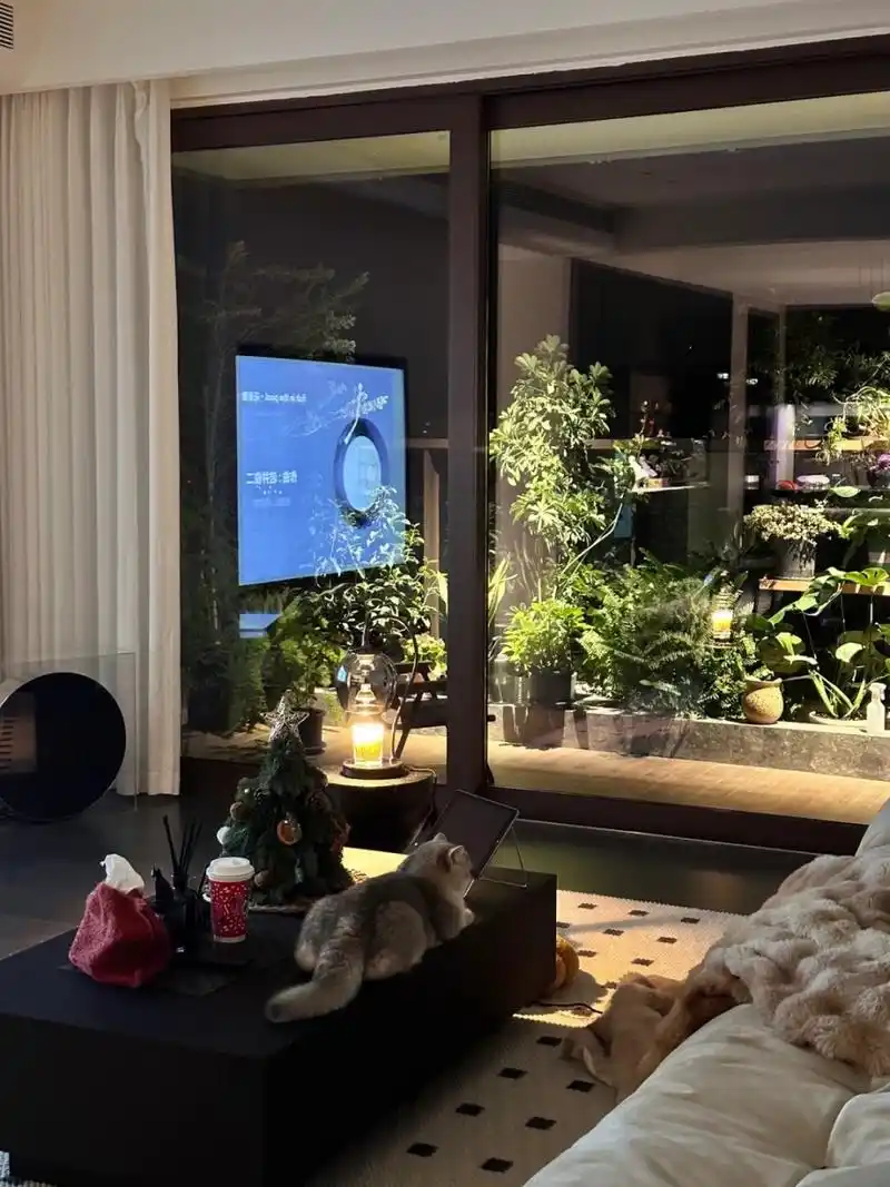 然而,我发现在夜晚家中独处的时光尤为宝贵.