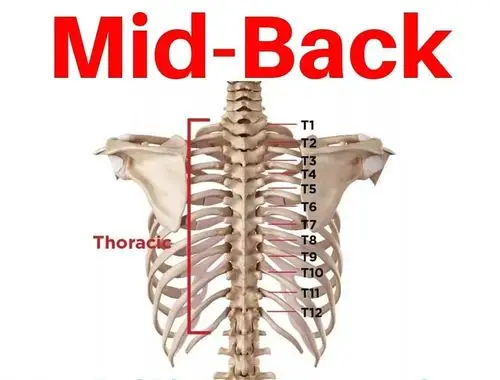 pn三分钟下班累了活动活动胸椎