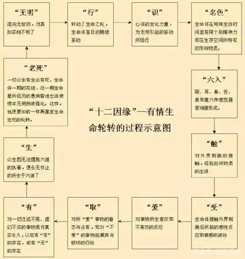 《心经》:十二因缘:无明是轮回的根源