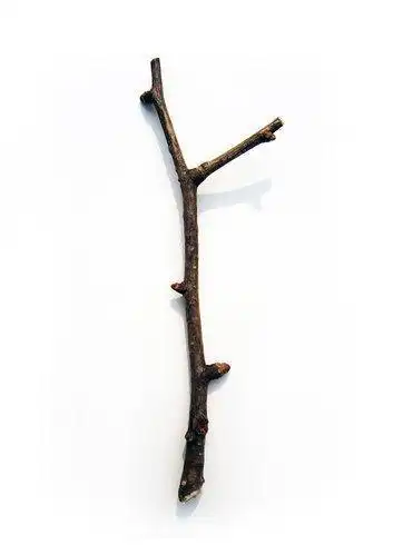 枯树枝捡回来改造你的家,创意其实很简单