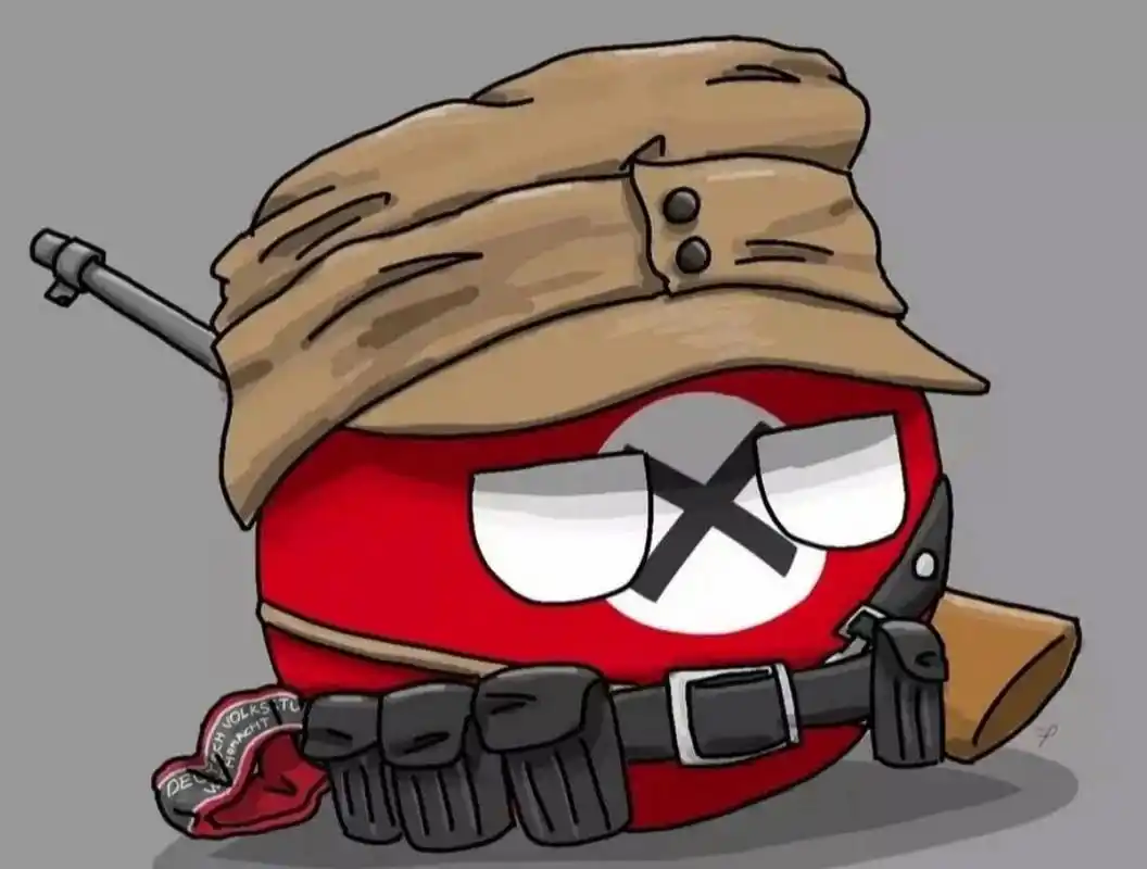 分享五个波兰球头像