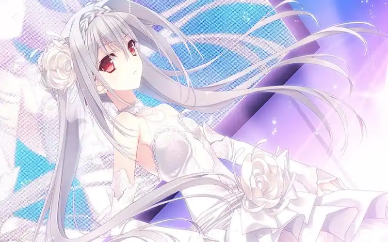 动态壁纸资源分享第四期樱小路露娜篇4k试试水