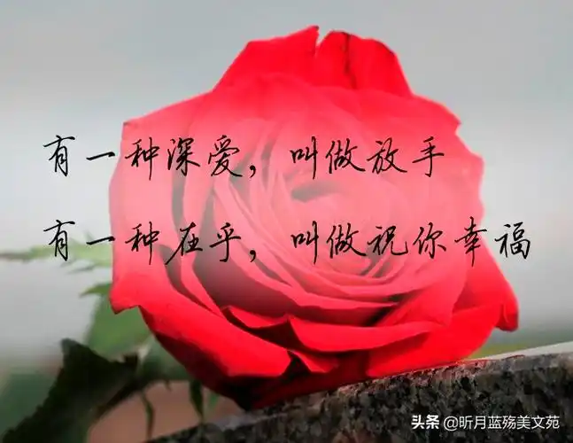 有一种在乎,叫做愿你一切安好