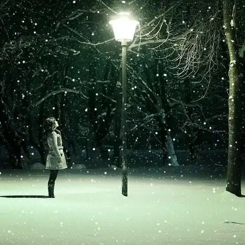 求图: 请问谁有那种一个人在路灯下抬头看飘雪的图片