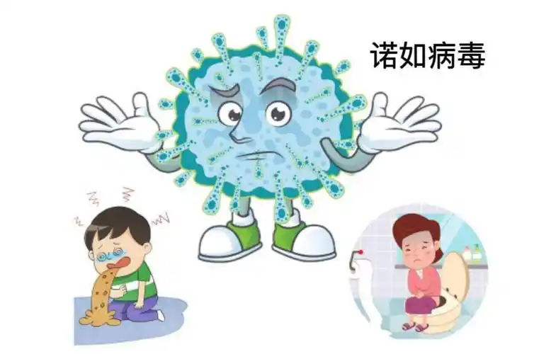 传染性强!江苏疾控连夜发布……_病毒_症状_传播