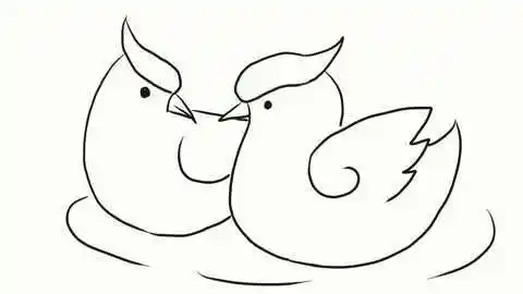 小林简笔画 一对鸳鸯儿童亲子简笔画